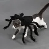 Abbigliamento Halloween Pet Spider Abiti Simulazione Black Spider Cuppy Cosplay Costume per CATS CATS CATS COSSPLAY Outfit divertente