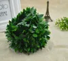 Dried Flowers Meters Iron Wire Green Leaf Vine Wedding Decorative Wreaths Christmas Decoration for Home Cheap Artificial Plants
