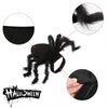 Abbigliamento Halloween Pet Spider Abiti Simulazione Black Spider Cuppy Cosplay Costume per CATS CATS CATS COSSPLAY Outfit divertente