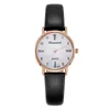 Horloges Vrouwen Horloge Eenvoudige Designer Dames Lederen Band Analoge Quartz Horloges Montre Femme Voor Gratis Bezorging