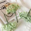 Fleurs séchées 6 pièces fleur de prunier artificielle fausses plantes souffle de bébé pour la décoration intérieure mariage décoratif couronne de noël bricolage cadeau