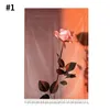 Vorhang Nordic Partition Rose Kurze Vorhänge Mit Quaste Küche Selbstklebende Vorhänge Für Schrank Regal Kleiderschrank Staub Abdeckung
