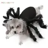 Abbigliamento Halloween Pet Spider Abiti Simulazione Black Spider Cuppy Cosplay Costume per CATS CATS CATS COSSPLAY Outfit divertente