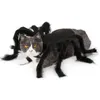 Abbigliamento Halloween Pet Spider Abiti Simulazione Black Spider Cuppy Cosplay Costume per CATS CATS CATS COSSPLAY Outfit divertente