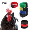 2pcs/Set Cock воротники против шума без воротника без крючка утки утки гуси птичья поставка для шейки воротнич