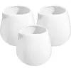 Set di stoviglie 3 pezzi Tazza da latte in ceramica Contenitore per miele Dispenser per sciroppo di caffè Pentola Brocca Ceramica Piccola scrematrice