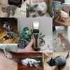 Уход за уходом Dicway Dog Clippers Electric Pet Cats Cats Clipper Животные животные уход за стрижкой резак.