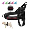 Collari per cani Guinzagli personalizzati Flanella imbottita per cani Imbracatura riflettente No Pull Dog Strap Harness Quick Fit per cani di piccola taglia Bulldog francese 230612