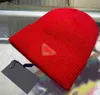 P-Buchstabe Netz Red Hat Winter Damen hohe Optik Wolle warme Wollmütze Herren neue kalte Mütze gekräuselte Strickmütze