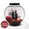 Aquariums CLASSIC Aquarium with All Decor and Accessories Included White LED Light 4 gallon Black Stone River Fish Tank 230613