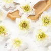 Torkade blommor 10st konstgjorda för scrapbook falska dahlia heminredning bröllop julkrans tillbehör diy godislåda silk lotus