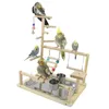 Toys Bird Punch Stand Toys Parrots Playstand Escerica Play Gym Feeder Attività Centro per le attività di uccello Parrot Conuure Cockatiel