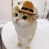 Abbigliamento per cani Cappello Sole Western Cowboy Doll Dressing Cat Pet Decorazione esterna Perro Accessori divertenti