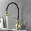 Robinets de cuisine Robinet gris avec robinet pour eau potable Mélangeur à filtre à double bec à poignée unique Support de pommeau de douche rotatif à 360 °