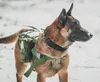 Hondenhalsbanden Riemen Tactische halsband met naam Militaire halsband Gepersonaliseerd met bedieningshand voor middelgrote grote honden Wandeltraining Jacht 230612