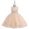 Fille Robes Bébé Robes Baptême Princesse Fête D'anniversaire Dentelle Fleur Blanc Robe De Bal Automne Robe Né Enfants Baptême 1 An