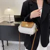 Texture Borsa da donna Apple 2023 Nuova borsa a tracolla semplice Borsa a tracolla portatile di grande capacità da donna 75% Presa a buon mercato all'ingrosso