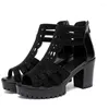 Sandalen 2023Hoge Hakken Gladiator Vrouw Open Hoofd Sexy Klinknagel Blok Hak Platform Schoenen Zomer Back Zip Maat 35-40 Vrouwen