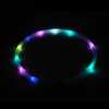 Collari per cani Guinzagli Collare per cani Luce lampeggiante notturna Ricarica USB Collari per cani e gatti Collare luminoso USB Collare per animali Decorazione del collo che si illumina al buio 230612