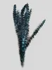 Gedroogde Bloemen Blauwe Eucalyptus Bladeren Bewaarde Natuurlijke Bloemstuk Woondecoratie Mariage Boeket DIY Epoxyhars 230613