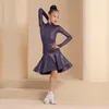 Stage Wear Latin Dance Clothes Modern Standard Performance Costumes Rumba Practice Clothing Purple Salsa Tango Dress DWY8407