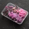 Torkade blommor 1Box Dry Plants for Epoxy Harts Casting Mold Diy Aromaterapy Candle Molds Crafts Tools Jewel Making Tillbehör 230613