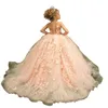 Peach Flower Girl Dress 2024 Lilas Ivoire Tulle Dentelle Robe De Bal Première Communion Robe Petit Enfant Infant Toddler Baptême Baptême Junior Demoiselle D'honneur Invité De Mariage