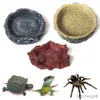 Planters Pots Crawler Pet Feeder Bowl Non-toxic Food Water Pot Reptile Turtle Tortoise Scorpion Lizard Crabs Pets Supplies R230614