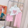 Одежда наборы в розницу девочки-подростковые девчонки корея летние розовые футболки шорт модные костюмы 4-9 т 230613
