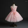 Fille Robes Rose Tulle Né Bébé 1er Anniversaire Robe Papillon Floral Petite Fête De Mariage Infantile Baptême Robe De Baptême