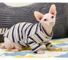 Cat Costumes Sphynx Ubranie bawełniane oddychające do włosów na odzież Cornish Rex Devon Peterbald Knnis Abbey