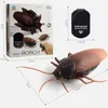 حيوانات ElectricRC الأشعة تحت الحمراء RC التحكم عن بعد الحشرات الحيوانية Smart Cockroach Spider ANT حشرة مخيفة خدعة الهالوين لعبة عيد الميلاد هدية 230613