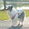 Abbigliamento per cani Summer Pet Dog Gilet di raffreddamento rapido Vestiti per cuccioli resistenti al calore Giacca arcobaleno traspirante a prova di sole per cani di taglia piccola all'aperto 230613