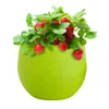 Planters POTS Colorful Round Plastic Flower Pots Home Office Decor Planter Creative Flower Pot R230614