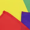 Bannière Drapeaux 90 * 150cm 3 * 5ft Drapeau Gay Drapeaux Arc-En-Fierté Bisexuel Lesbien Pansexuel Accessoires Polyester LGBT Bannière Décoration Q193