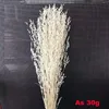 ドライフラワー約30G3540cm装飾的な天然乾燥した白い草の寝室装飾アクセサリーホームウェディングデコレーション230613