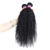 Hair Bulks Kinky Curly Human Hair Bundles 100 % malaysisches lockiges Haar Bundles Natural Color Thicker Ends Hair Extensions 230613