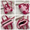 Borse da sera Borsa a tracolla piccola da donna vintage Pink Girls Handheld Corssbody Cute Handbags Female Lipstick Headphones Messenger