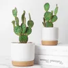 Pots de jardinières Anti-céramique, conteneurs de fleurs d'intérieur avec Drainage pour plantes succulentes, Pots de fleurs de Cactus pour fleurs d'intérieur R230614