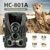 Охотничьи камеры Тропа Камера Ночное видение HC801A Дикая природа с активированным движением на открытом воздухе Скаутирование 230613