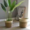 Cestas de armazenamento Natura Straw Basket Rattan Planter Vaso de flores Artesanato Decoração Casa moderna Sala de estar Quarto Loja Planta de jardim 230613