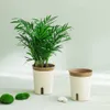 Planters Pots New Self Watering Flower Pot Self-Absorbent Planter Plant Pot Hydroponic Water-free Plant Container Home Office Decoration R230614