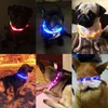 Hundhalsar Leases Dog Collar LED Lätt blinkande natt USB laddande hundkatthalsar USB Luminös krage Pet Collarneck Decoration Glowing In Dark 230613