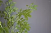 Decorative Flowers Artificial Wisteria Light Green Leaves Vintage Greenery Wedding Or Home Table Decorations Plant