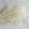 Dried Flowers About 30g3540CM Decorative Natural Dry White Grass Bouquet For Bedroom Decor Accessories Home Wedding Decoration 230613