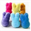 Cute Bunny Star Carota Doll Keychain Kawaii Easter Room Sofa Desktop Decoration Peluche Giocattoli Regalo per bambini