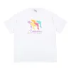 23SSVTM Couleur Dauphin Motif Lettre Imprimer Lâche Décontracté T-shirt à Manches Courtes pour Hommes et Femmes Tendance