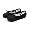 Stage Wear Meisjes Balletschoenen Canvas Zachte Zool Dans Slippers Kinderen Kids Praktijk Ballerina Vrouw Yoga