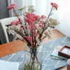 Fleurs décoratives 50g fruits de millet naturels fleurs séchées articles de décoration pour la maison avec bouquet de mariage de mariée fournitures de fête herbe de pampa