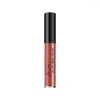 Lip Gloss Liquid Lipstick Plumper Makeup Pigmented Long Lasting Stick Waterproof Gift For Girls And Women